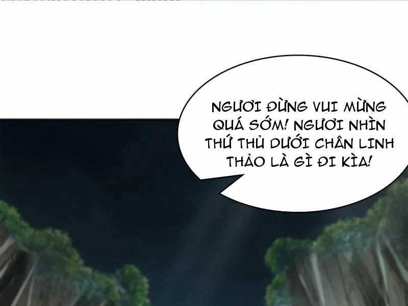Vừa Cầm Được Thái Cổ Tiên Dược, Ta Đã Đe Dọa Thánh Chủ Chapter 41 trang 15