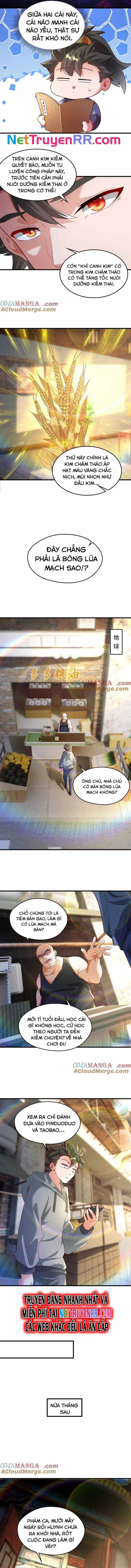 Vừa Cầm Được Thái Cổ Tiên Dược, Ta Đã Đe Dọa Thánh Chủ Chapter 71 trang 2