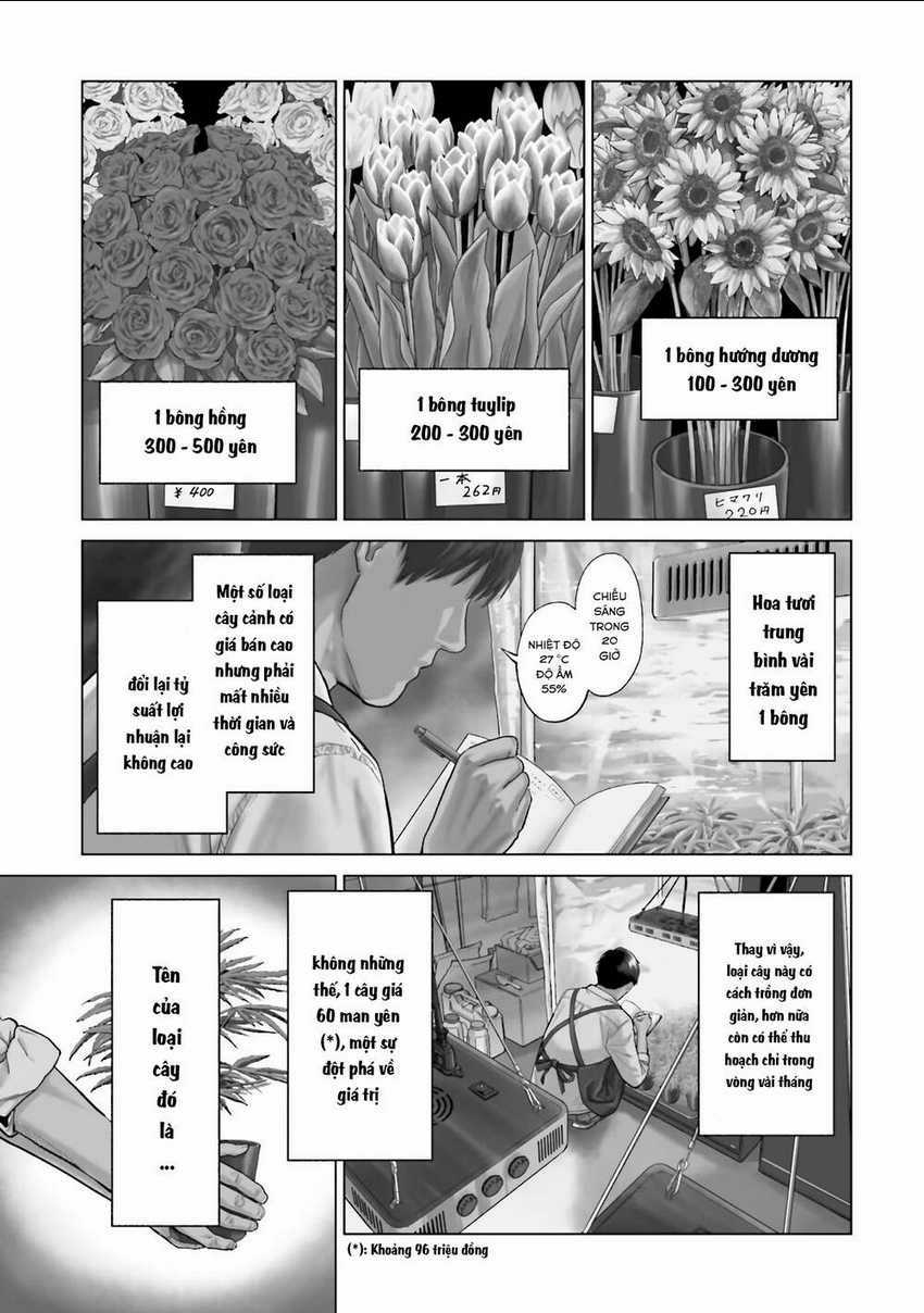 Vua Cần Sa Chapter 1 trang 4