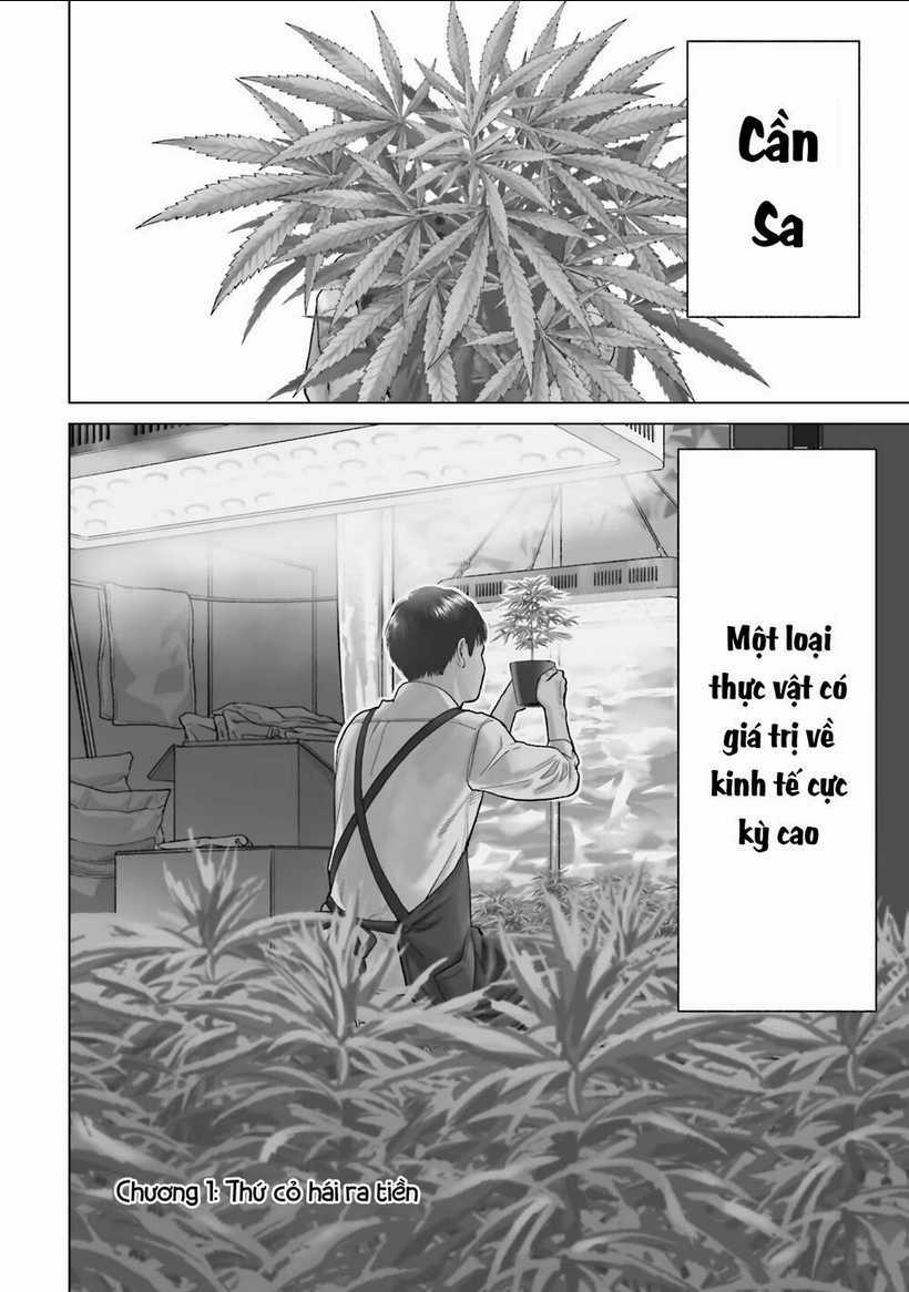 Vua Cần Sa Chapter 1 trang 5