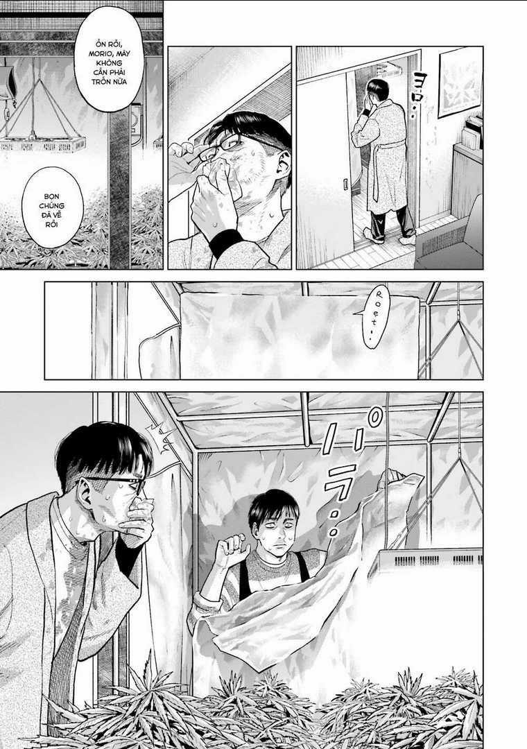 Vua Cần Sa Chapter 11 trang 11