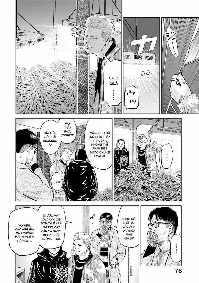 Vua Cần Sa Chapter 11 trang 6