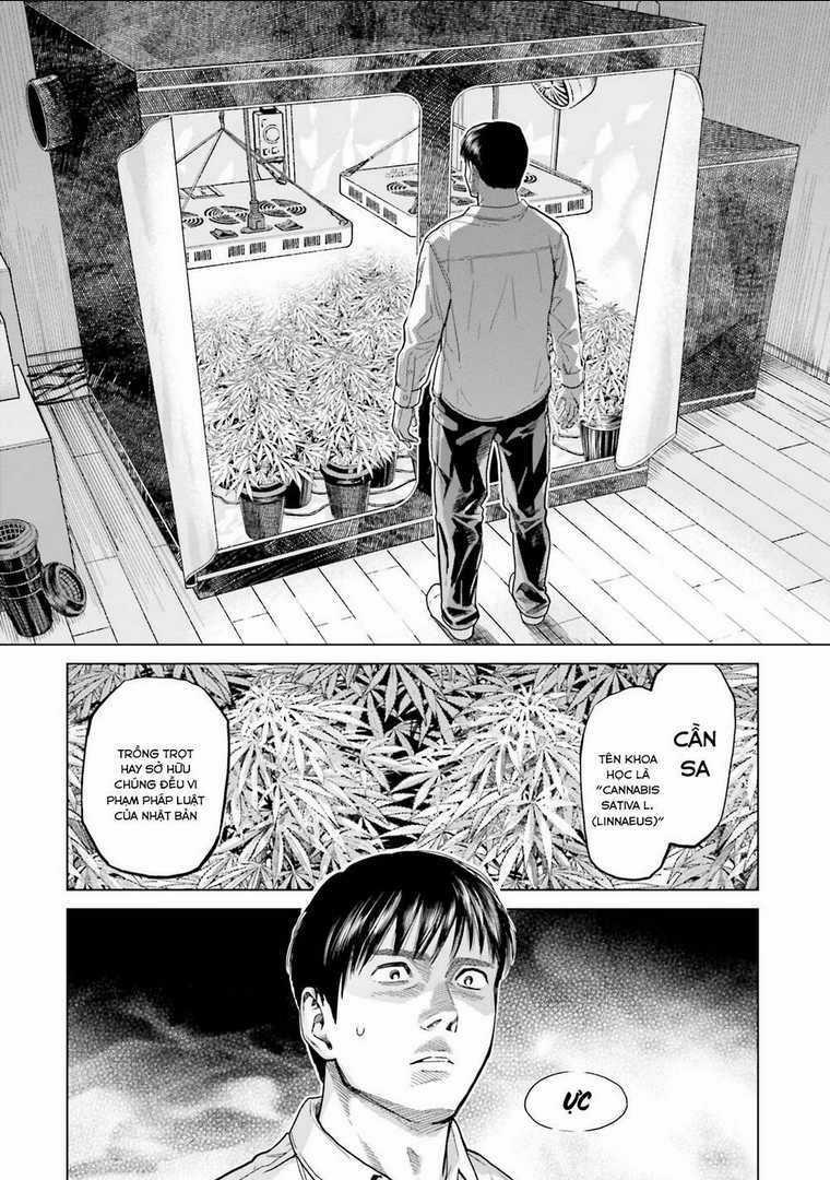Vua Cần Sa Chapter 3 trang 12