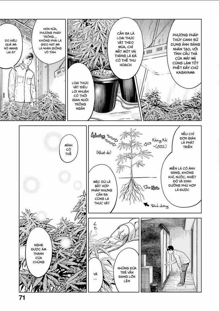 Vua Cần Sa Chapter 3 trang 13