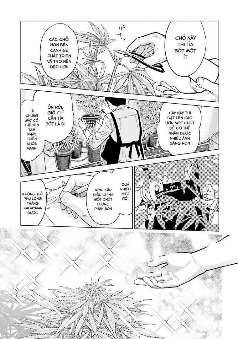 Vua Cần Sa Chapter 3 trang 17