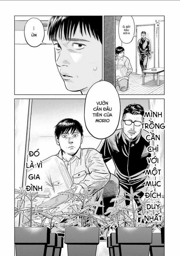 Vua Cần Sa Chapter 6 trang 14