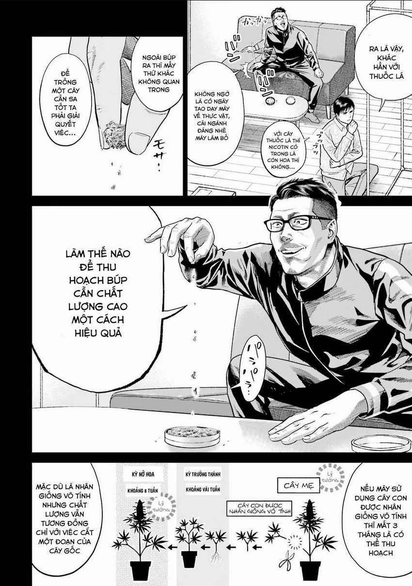 Vua Cần Sa Chapter 7 trang 4