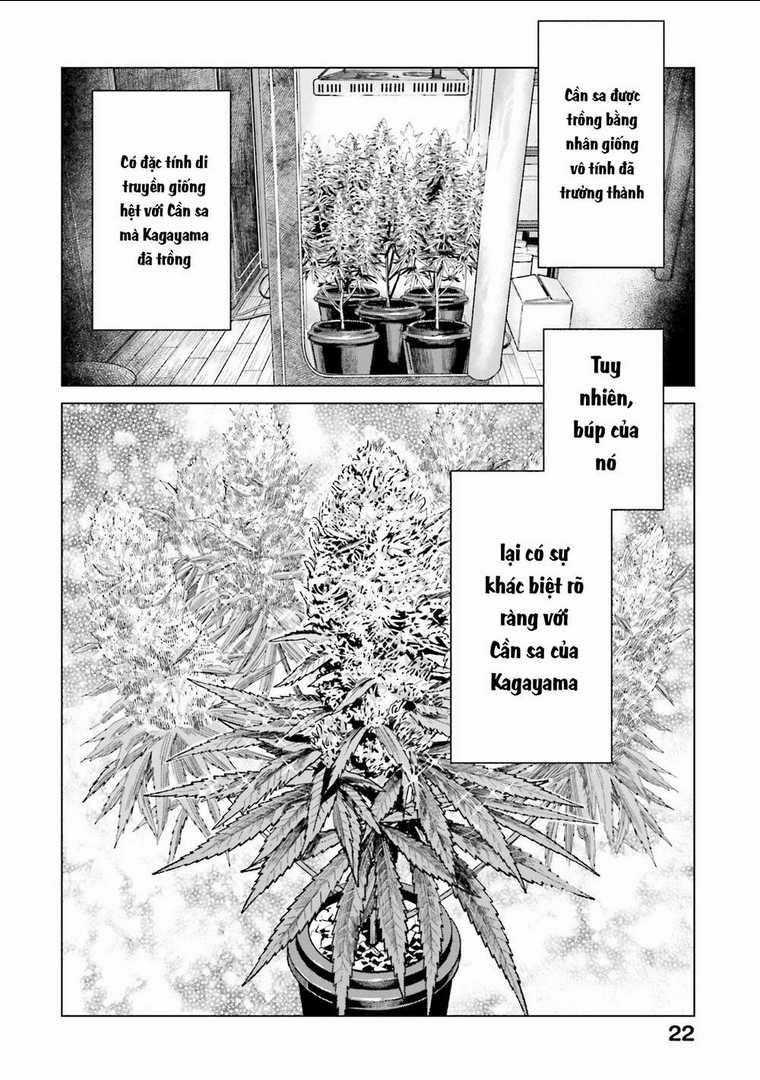 Vua Cần Sa Chapter 8 trang 21