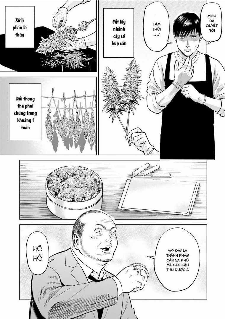 Vua Cần Sa Chapter 9 trang 7