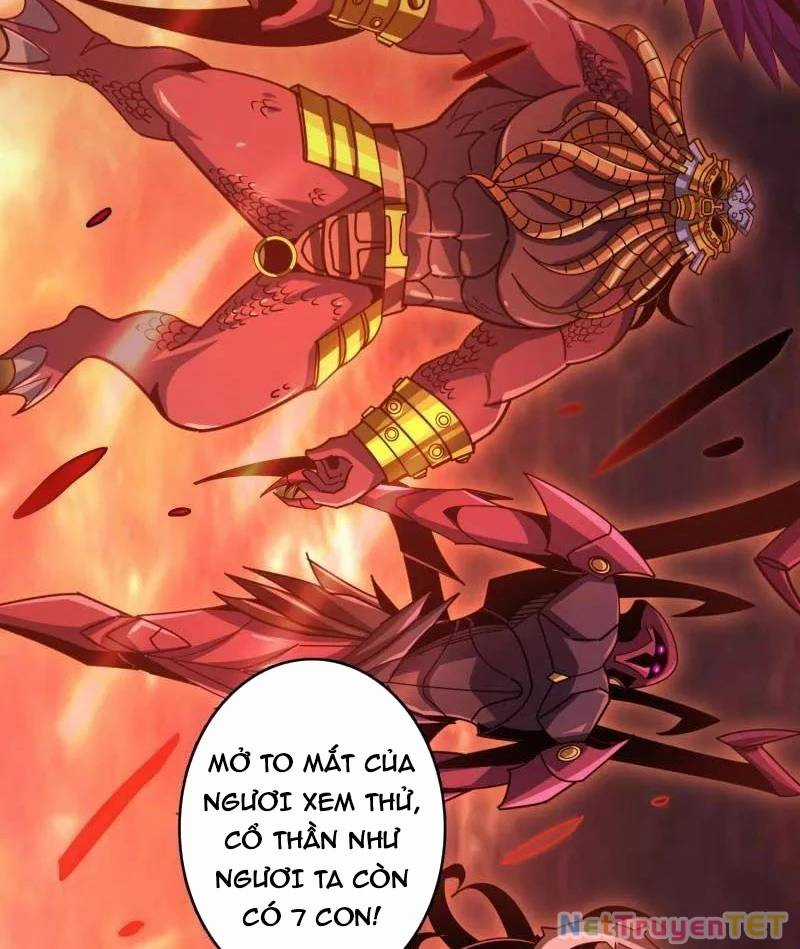 Vừa Chơi Đã Có Tài Khoản Vương Giả Chương 502 trang 65