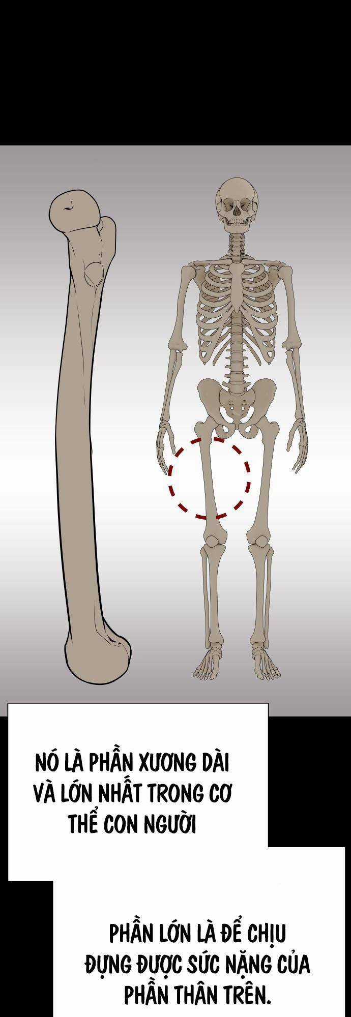 Vua Đóng Cọc Chapter 29 trang 76