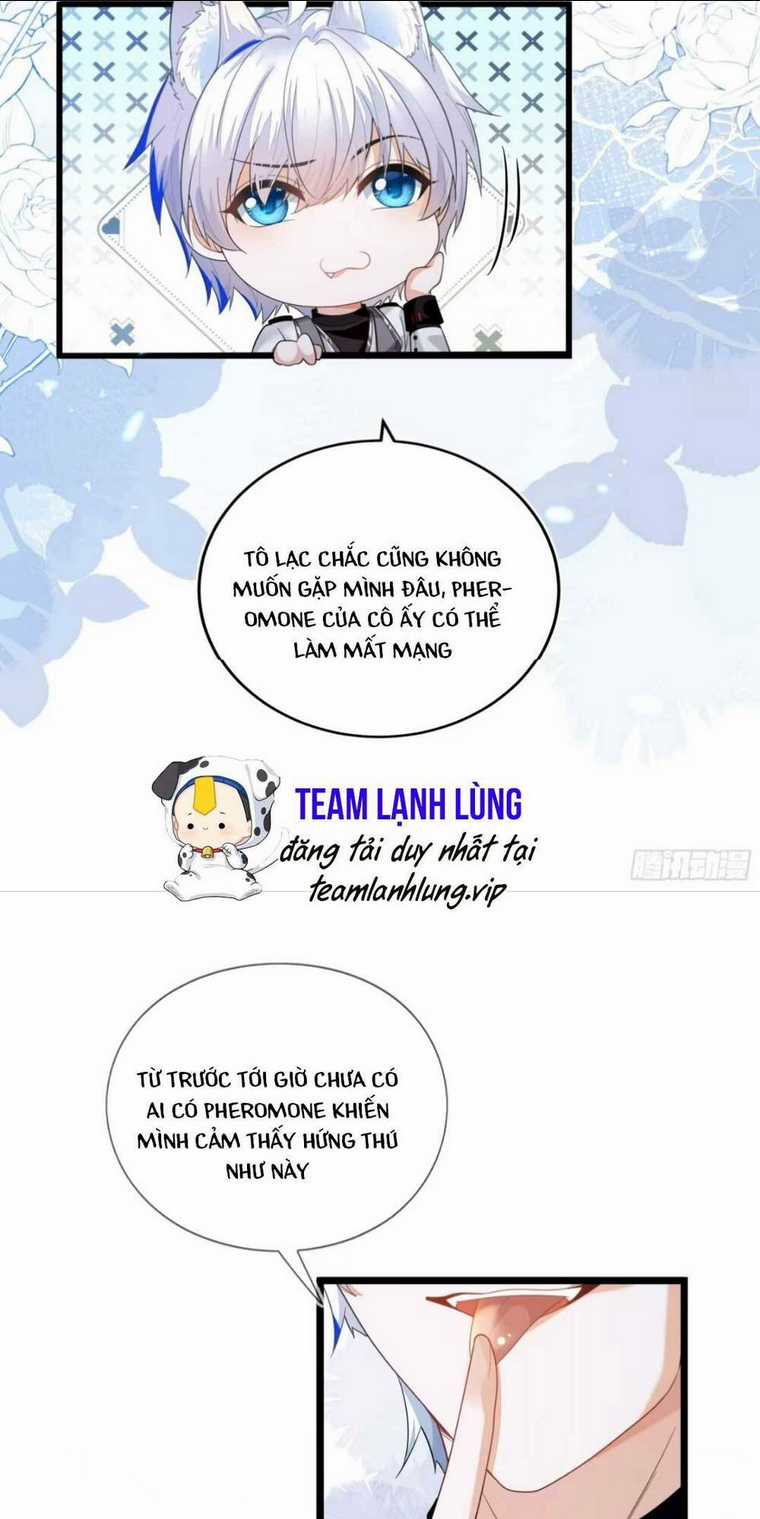 vừa mới huỷ hôn đã bị dã hồ ly lừa kết hôn Chapter 1 trang 41