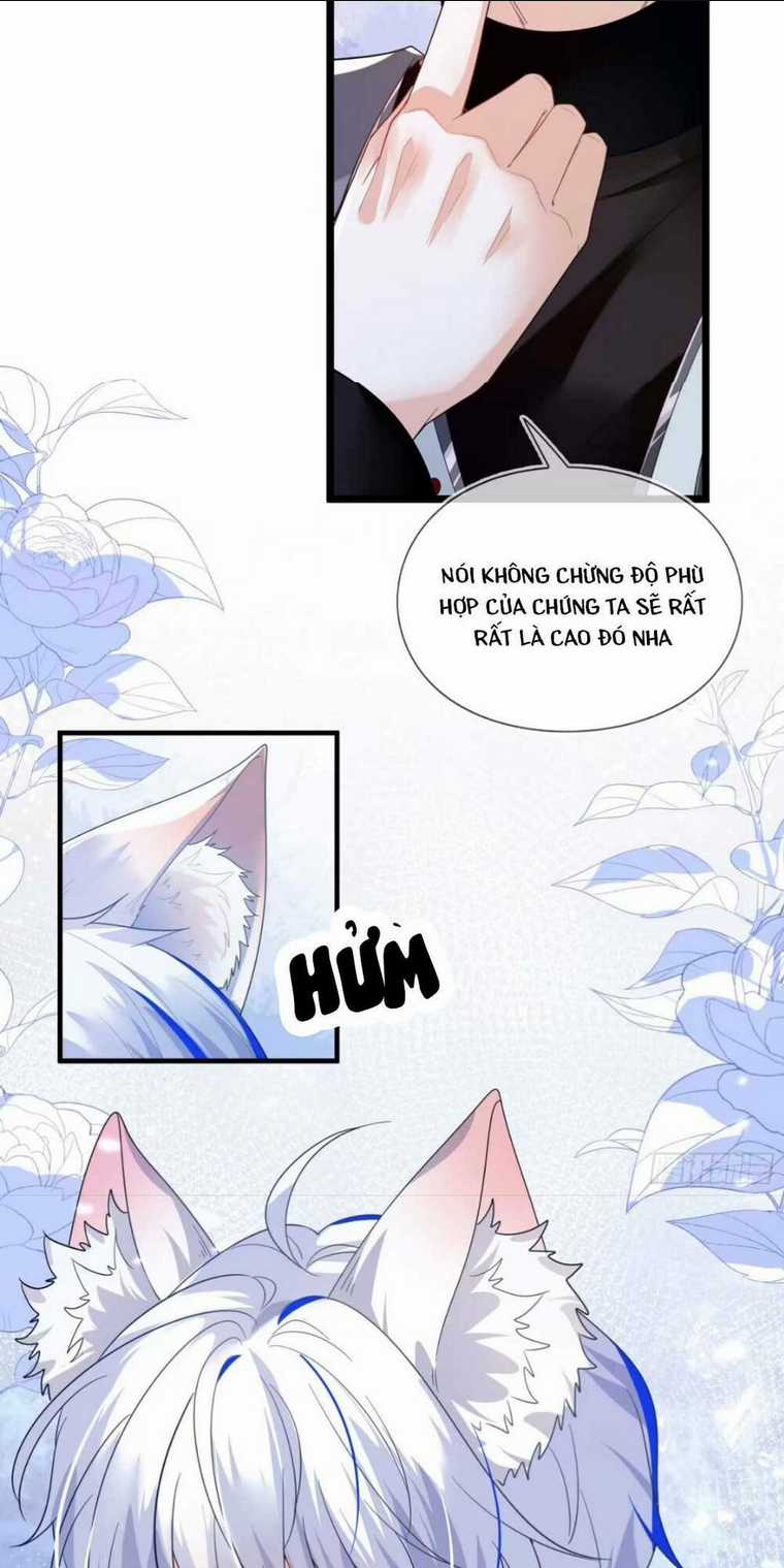 vừa mới huỷ hôn đã bị dã hồ ly lừa kết hôn Chapter 1 trang 42