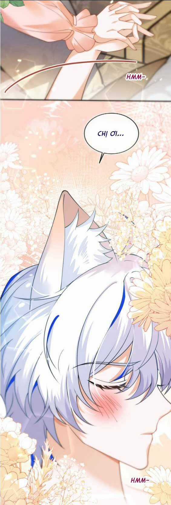 vừa mới huỷ hôn đã bị dã hồ ly lừa kết hôn Chapter 11 trang 10