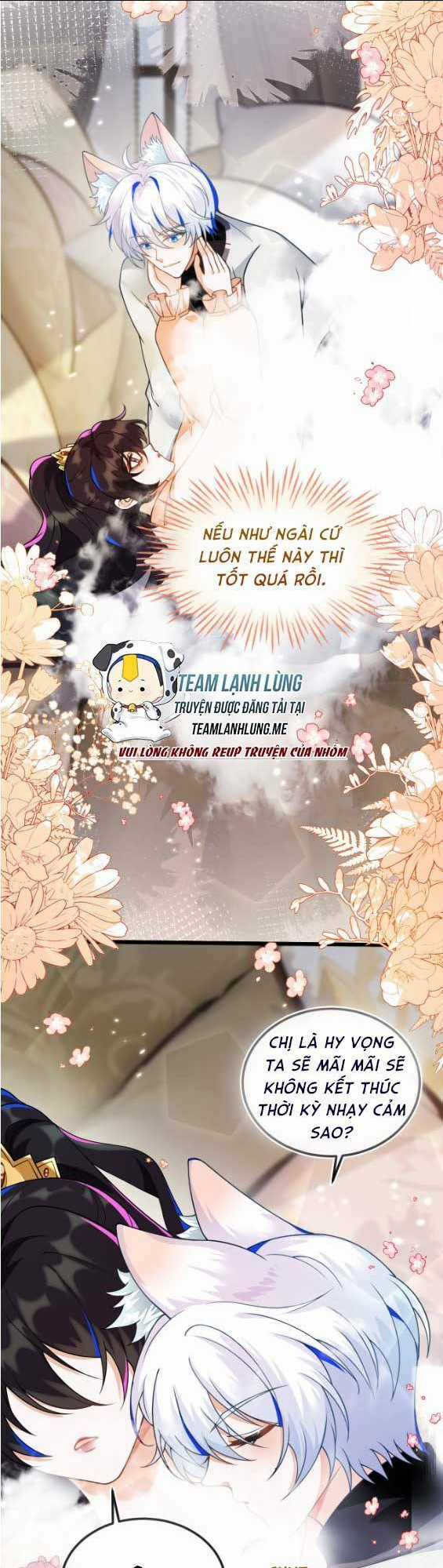 vừa mới huỷ hôn đã bị dã hồ ly lừa kết hôn Chapter 11 trang 4