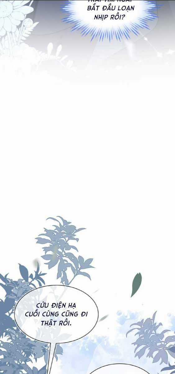 vừa mới huỷ hôn đã bị dã hồ ly lừa kết hôn Chapter 17 trang 32