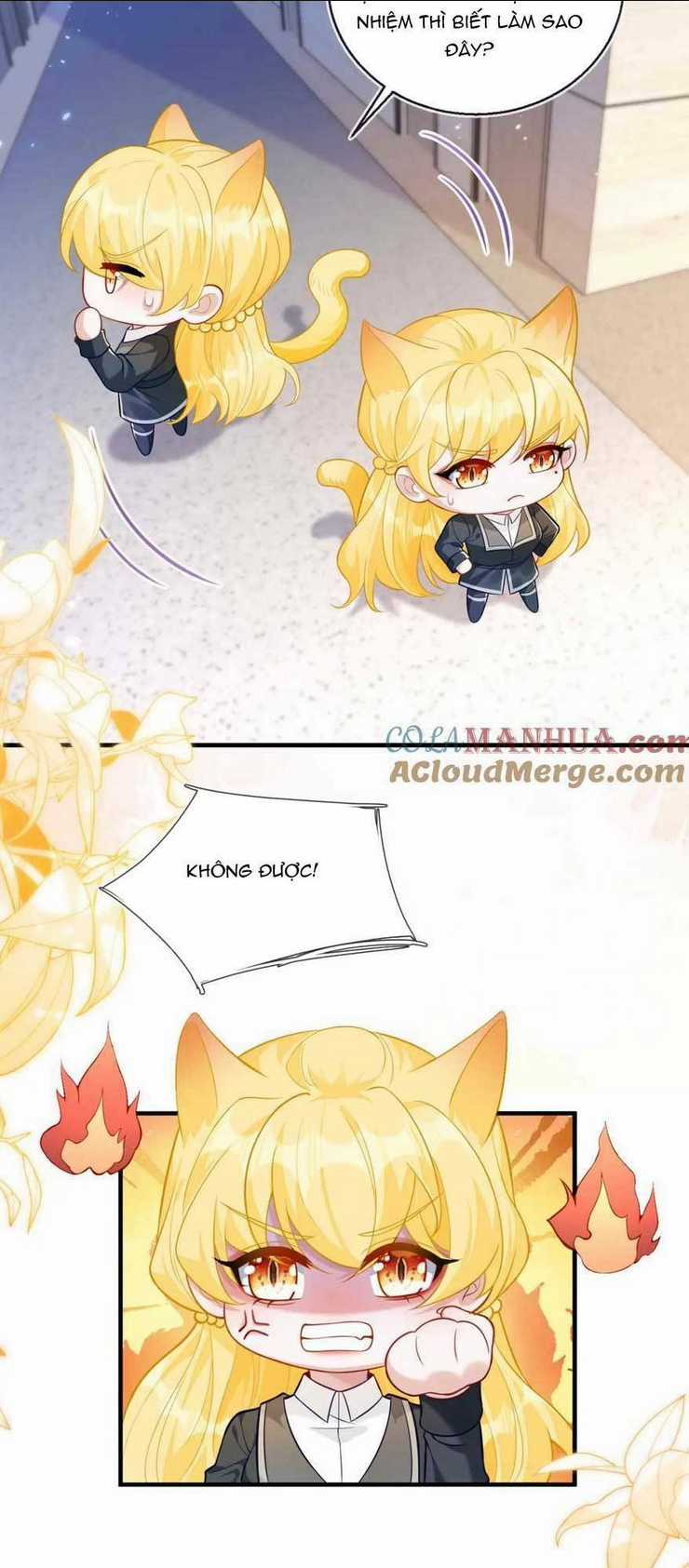 vừa mới huỷ hôn đã bị dã hồ ly lừa kết hôn Chapter 20 trang 15