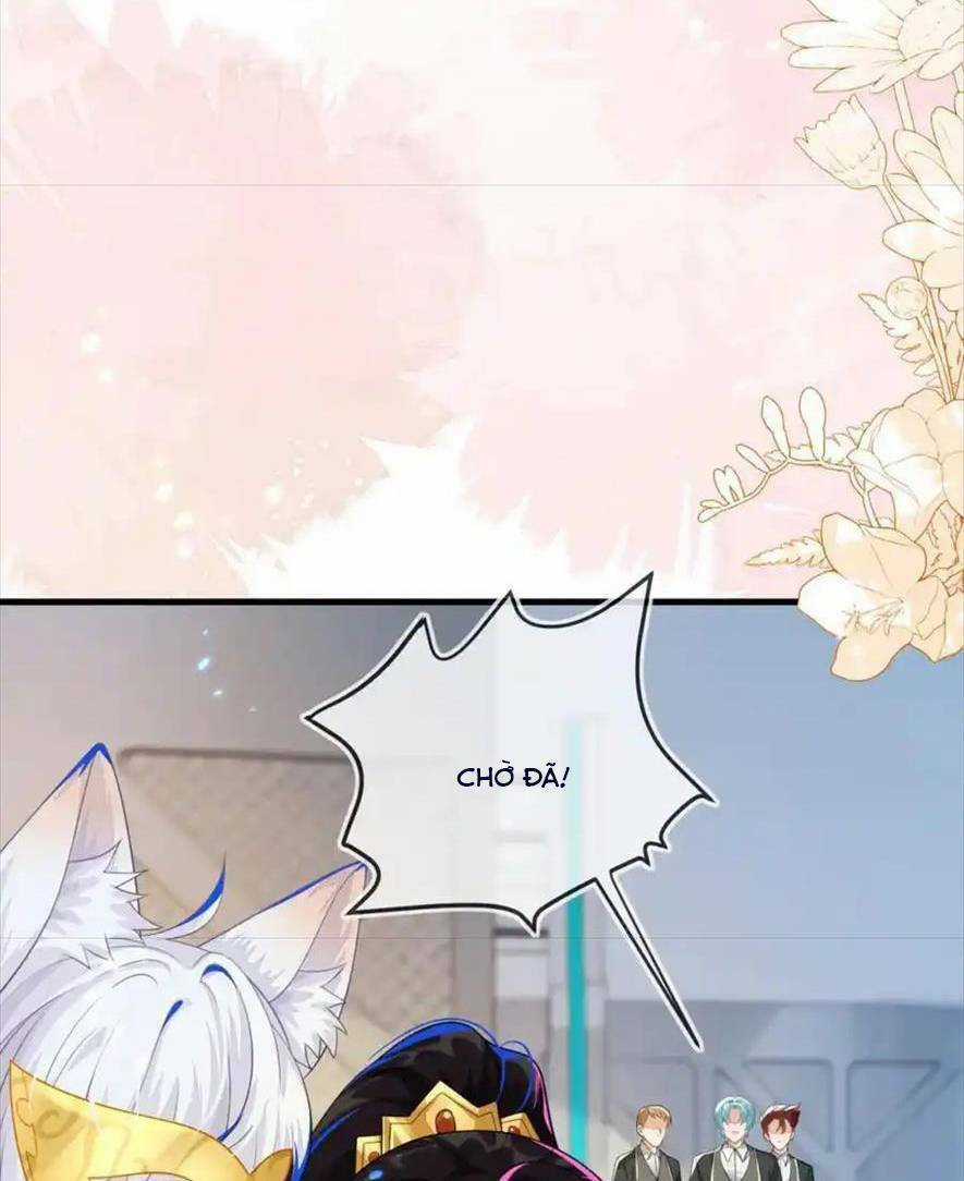 vừa mới huỷ hôn đã bị dã hồ ly lừa kết hôn Chapter 27 trang 6