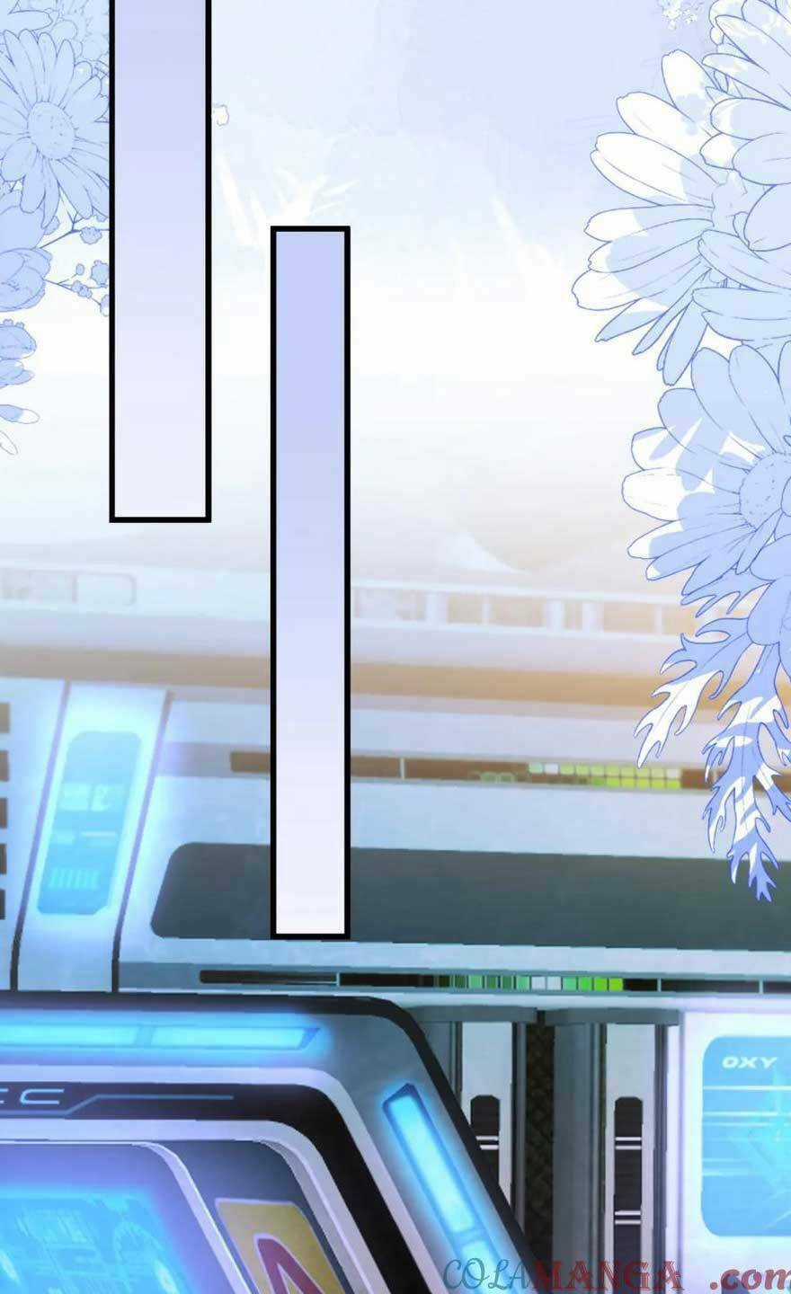 vừa mới huỷ hôn đã bị dã hồ ly lừa kết hôn Chapter 29 trang 33