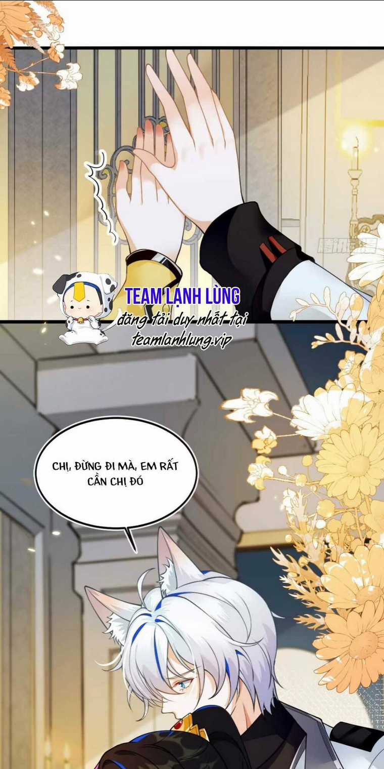 vừa mới huỷ hôn đã bị dã hồ ly lừa kết hôn Chapter 3 trang 18