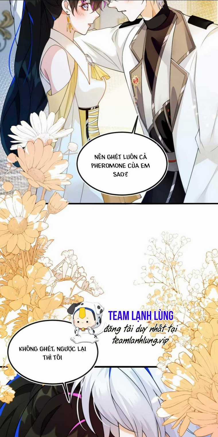 vừa mới huỷ hôn đã bị dã hồ ly lừa kết hôn Chapter 3 trang 24