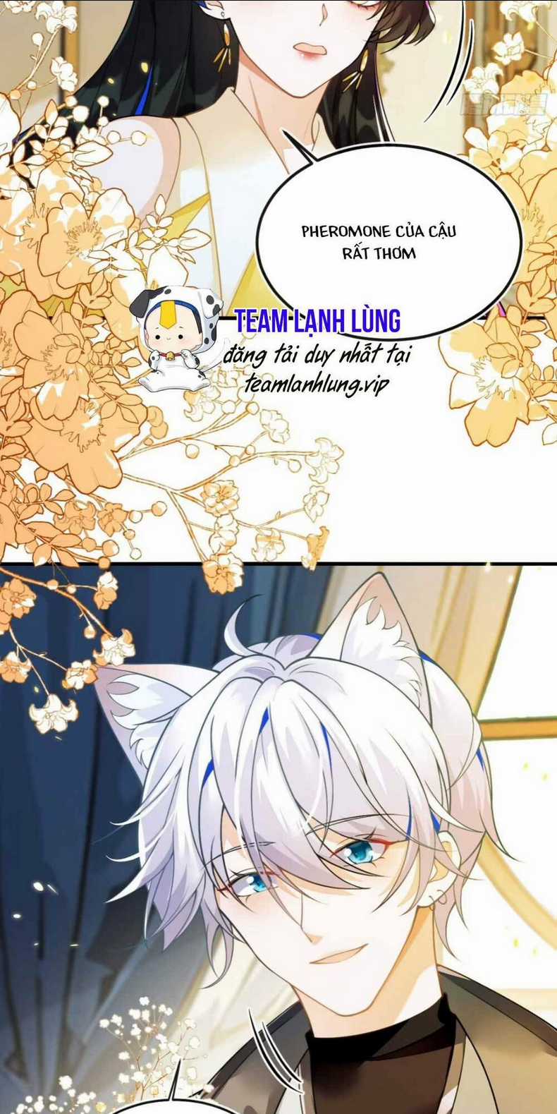 vừa mới huỷ hôn đã bị dã hồ ly lừa kết hôn Chapter 3 trang 6