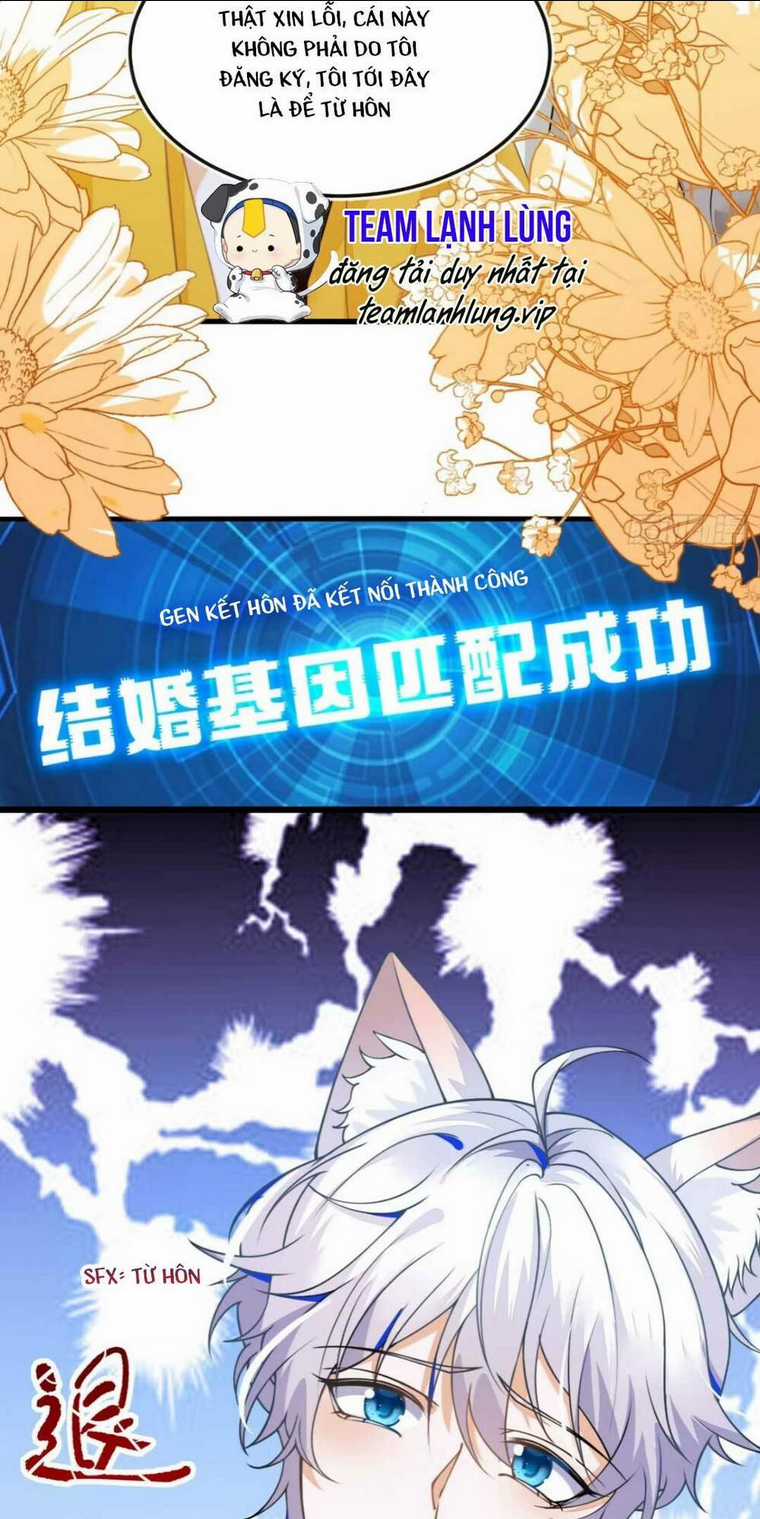 vừa mới huỷ hôn đã bị dã hồ ly lừa kết hôn Chapter 3 trang 9