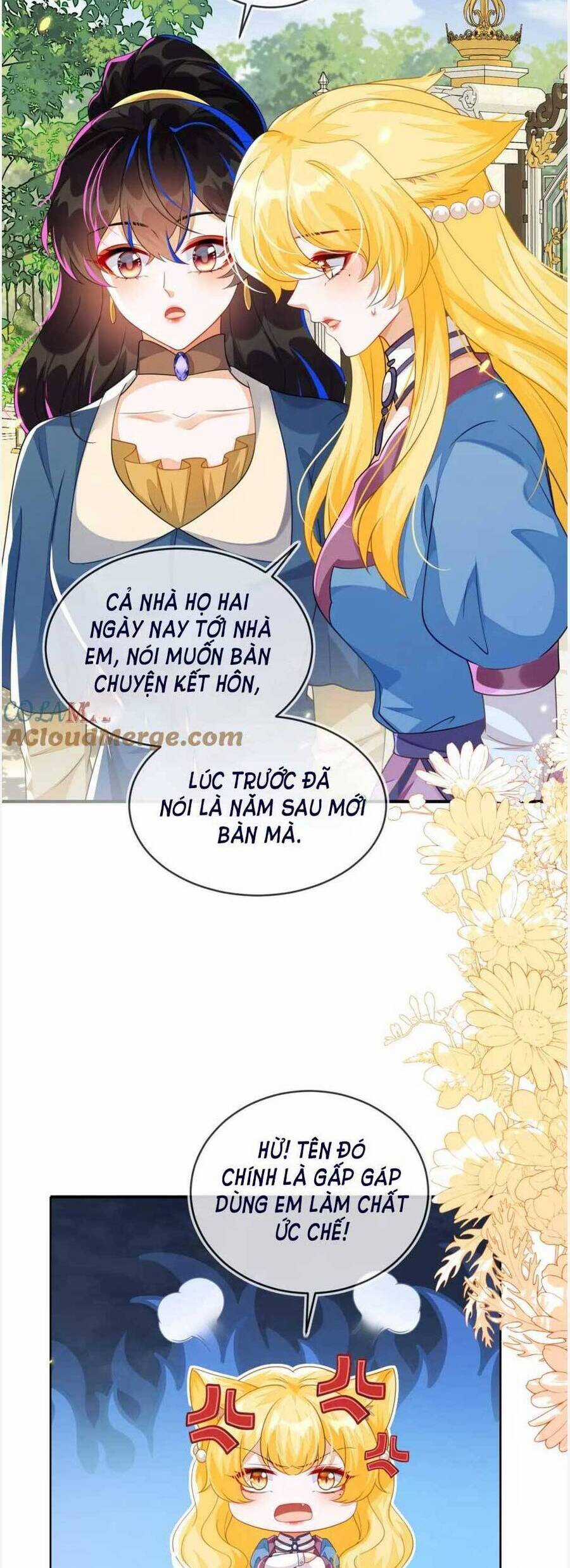 vừa mới huỷ hôn đã bị dã hồ ly lừa kết hôn Chapter 41 trang 2