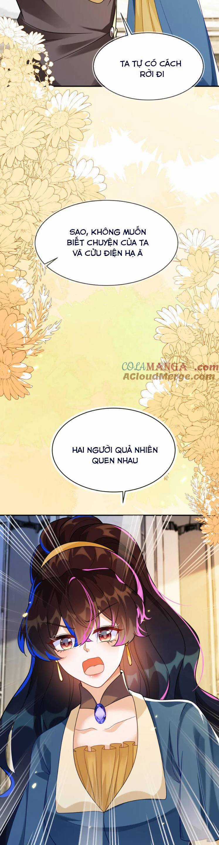 vừa mới huỷ hôn đã bị dã hồ ly lừa kết hôn Chapter 43 trang 12