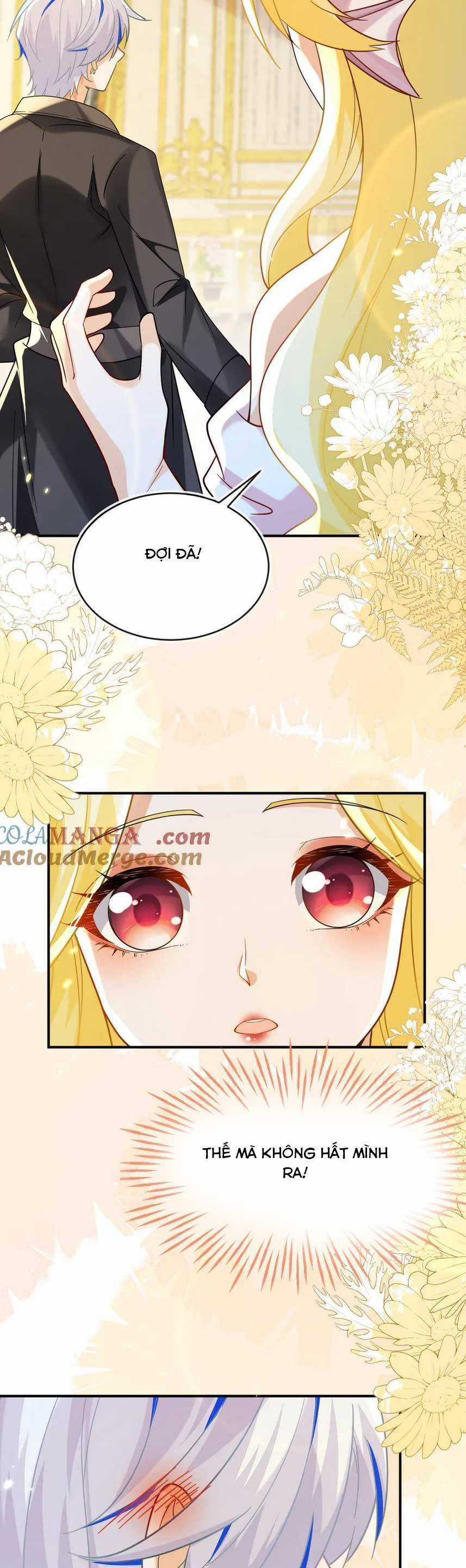 vừa mới huỷ hôn đã bị dã hồ ly lừa kết hôn Chapter 49 trang 13