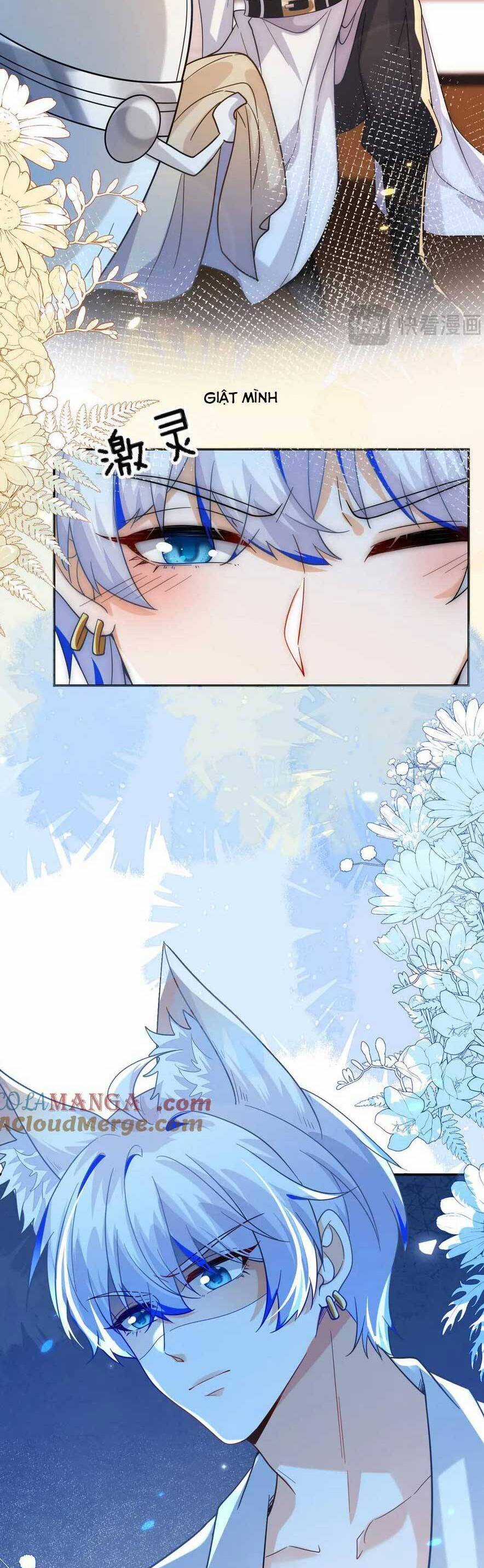 vừa mới huỷ hôn đã bị dã hồ ly lừa kết hôn Chapter 49 trang 4