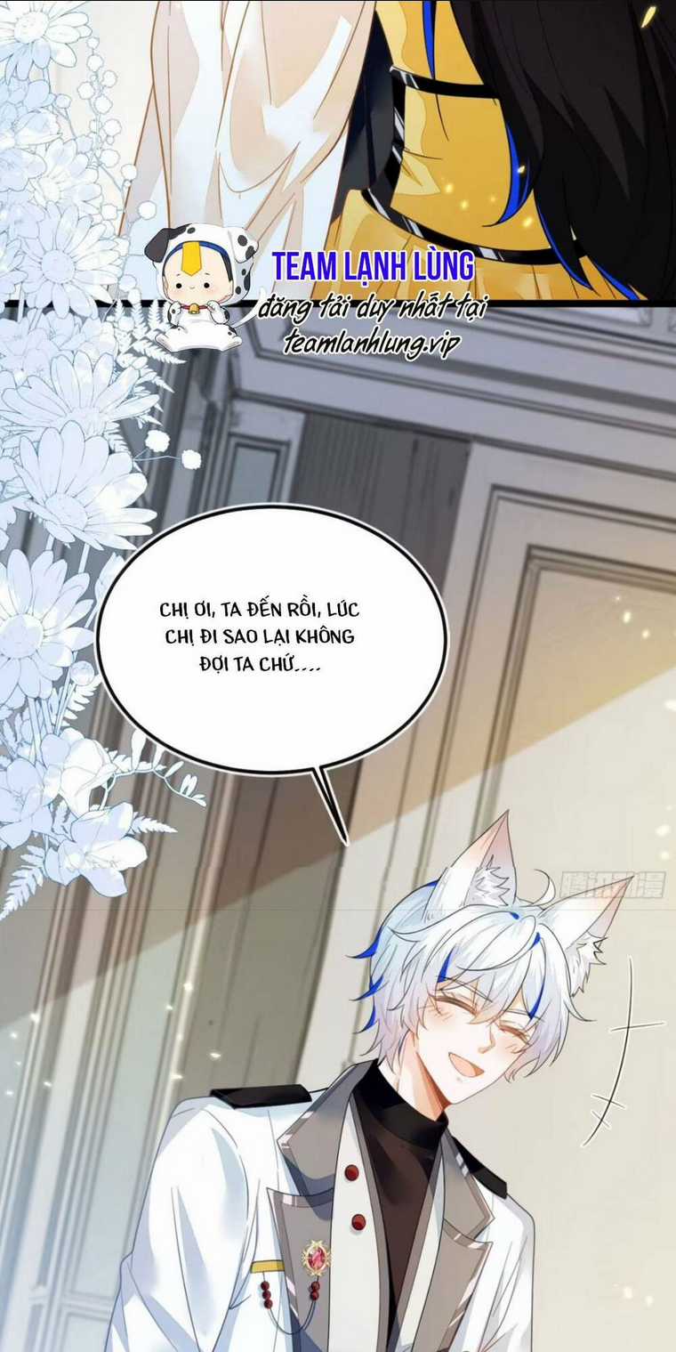 vừa mới huỷ hôn đã bị dã hồ ly lừa kết hôn Chapter 5 trang 12