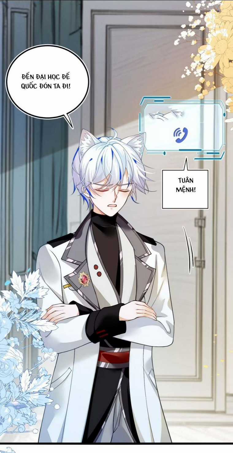 vừa mới huỷ hôn đã bị dã hồ ly lừa kết hôn Chapter 5 trang 34