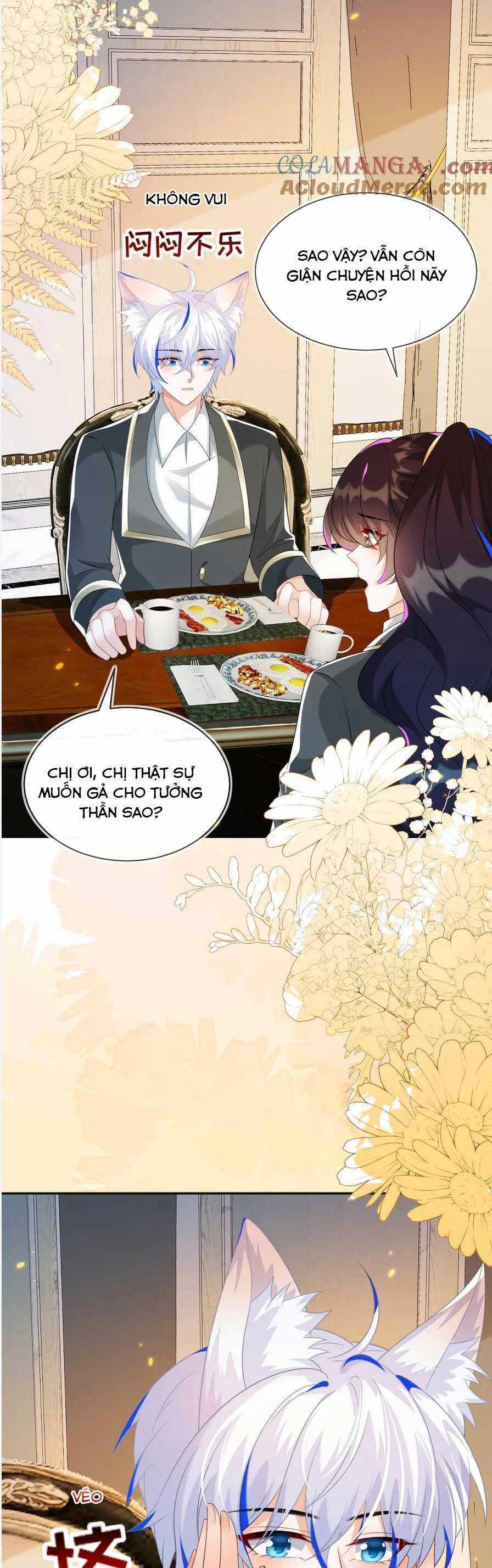 vừa mới huỷ hôn đã bị dã hồ ly lừa kết hôn Chapter 51 trang 9