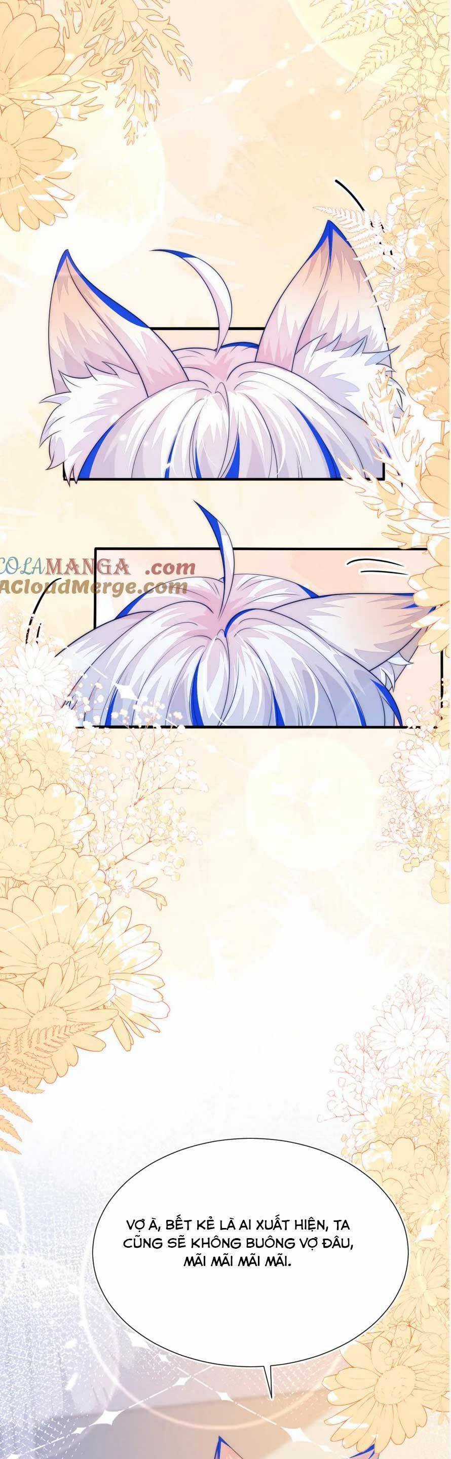 vừa mới huỷ hôn đã bị dã hồ ly lừa kết hôn Chapter 52 trang 40