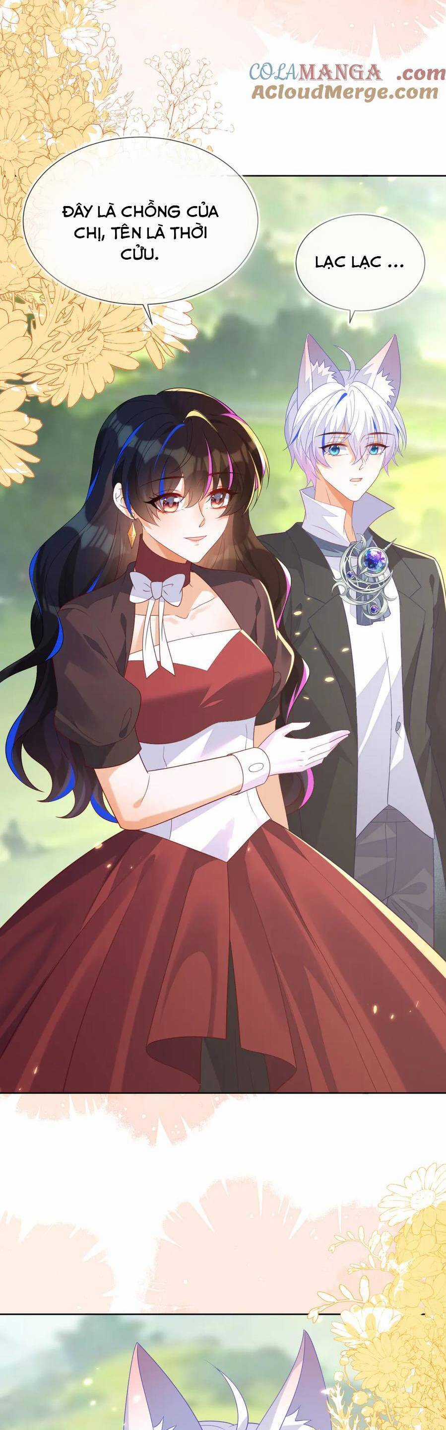 vừa mới huỷ hôn đã bị dã hồ ly lừa kết hôn Chapter 56 trang 13