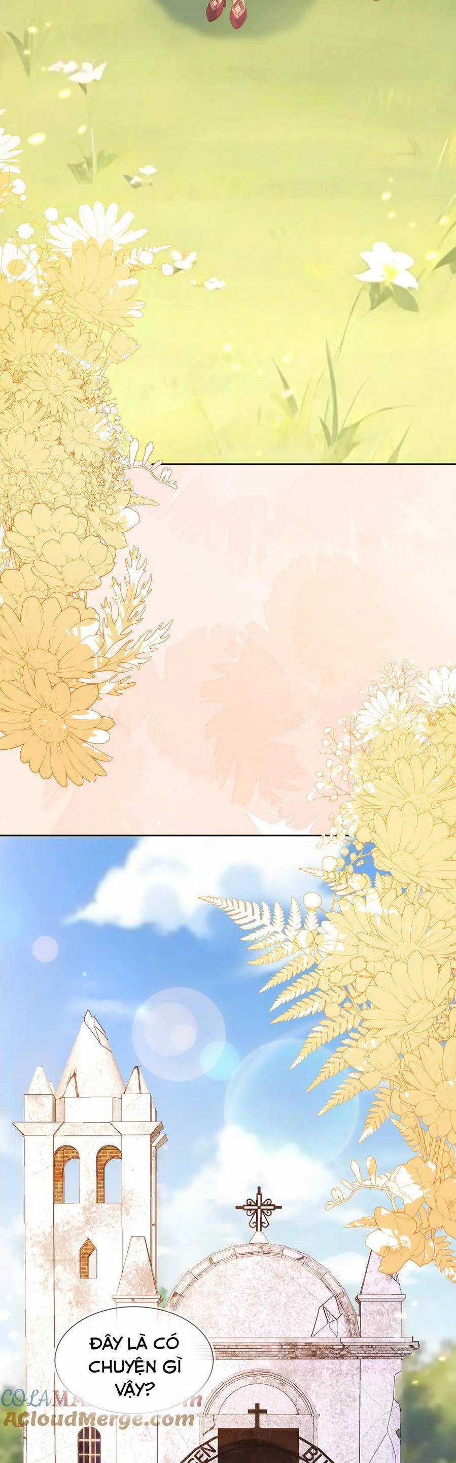 vừa mới huỷ hôn đã bị dã hồ ly lừa kết hôn Chapter 56 trang 16