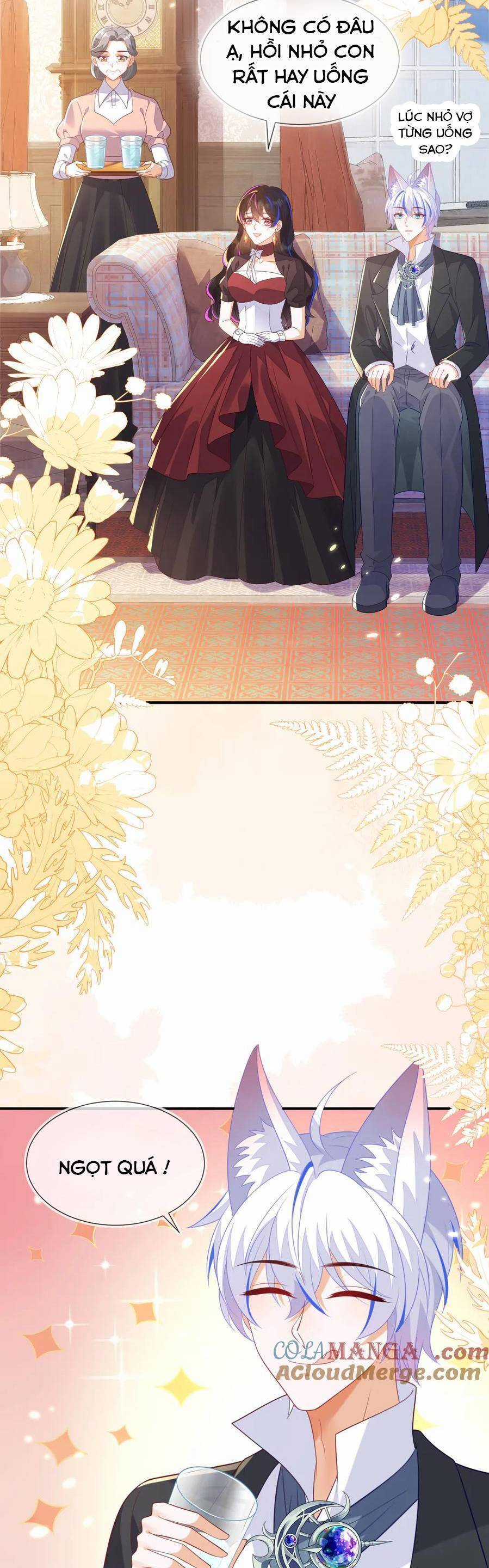 vừa mới huỷ hôn đã bị dã hồ ly lừa kết hôn Chapter 56 trang 20