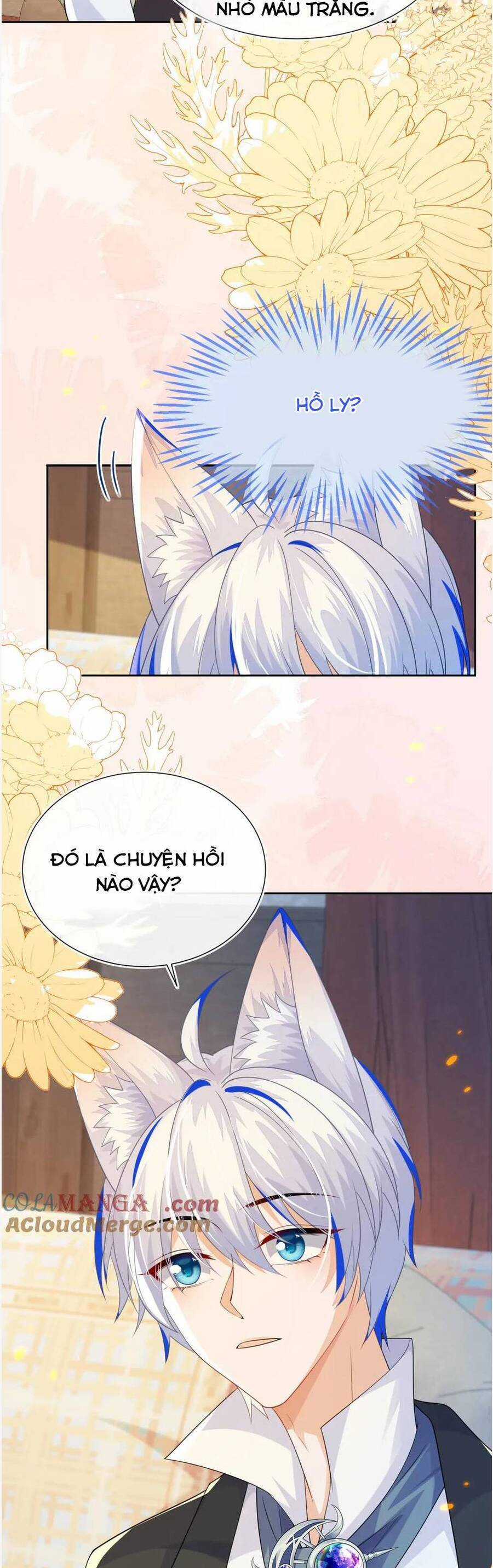 vừa mới huỷ hôn đã bị dã hồ ly lừa kết hôn Chapter 56 trang 24