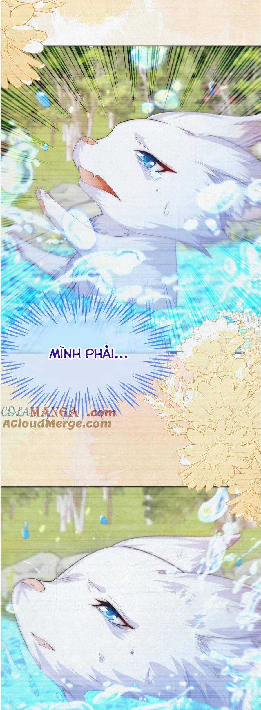 vừa mới huỷ hôn đã bị dã hồ ly lừa kết hôn Chapter 56 trang 34