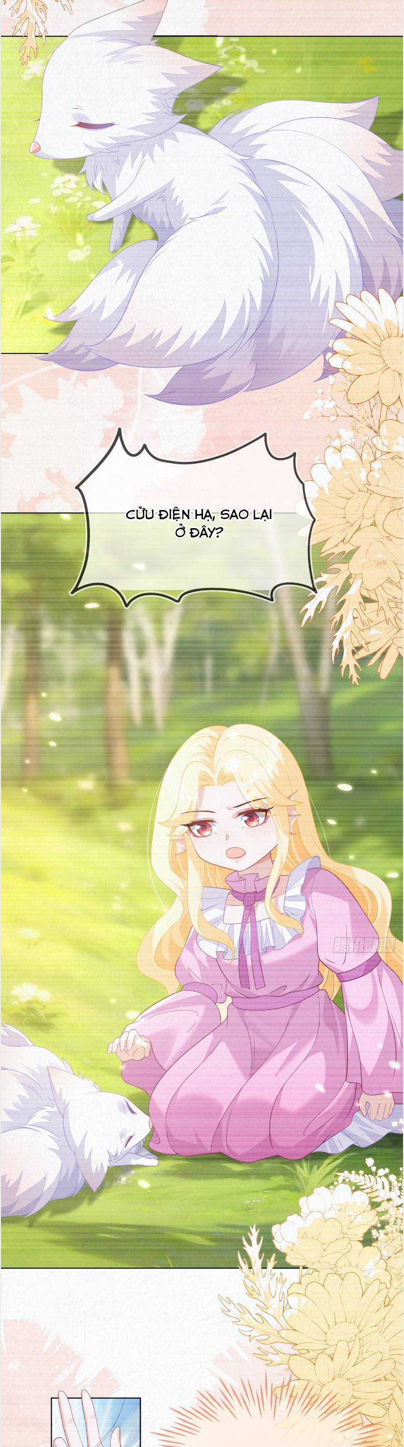 vừa mới huỷ hôn đã bị dã hồ ly lừa kết hôn Chapter 57 trang 11