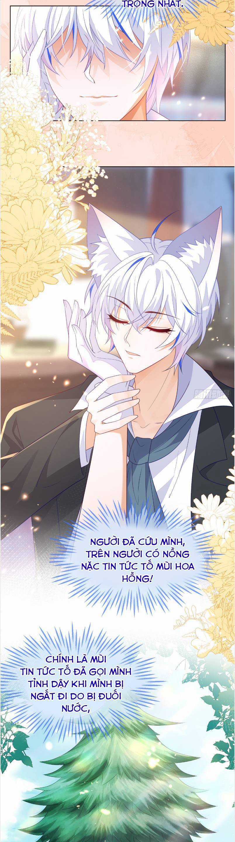 vừa mới huỷ hôn đã bị dã hồ ly lừa kết hôn Chapter 57 trang 19