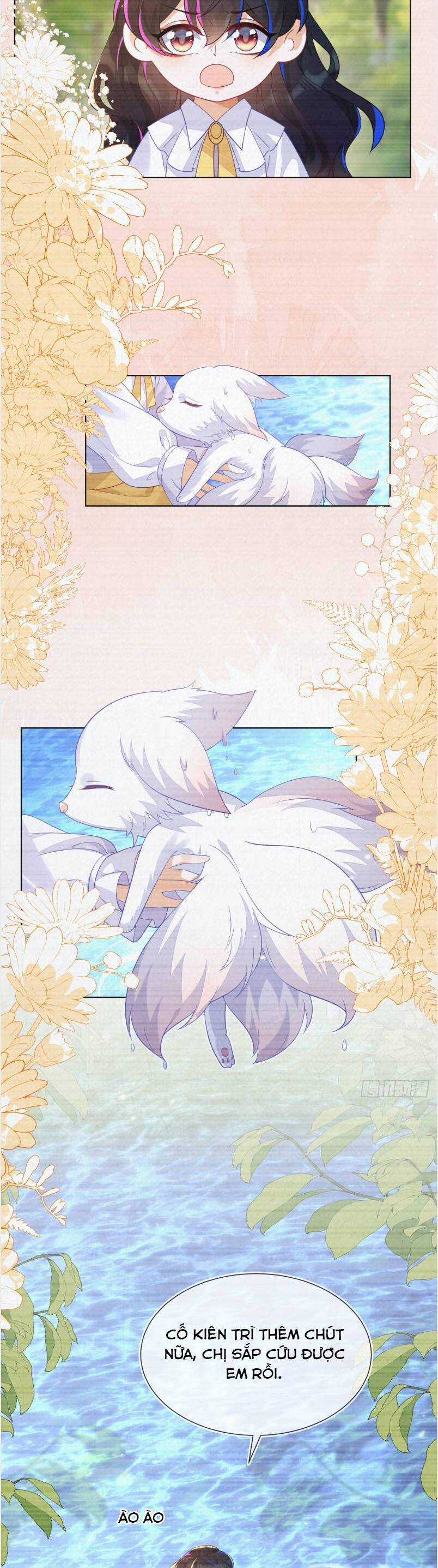 vừa mới huỷ hôn đã bị dã hồ ly lừa kết hôn Chapter 57 trang 4