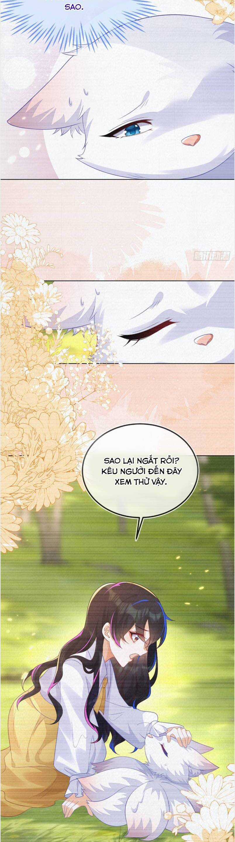 vừa mới huỷ hôn đã bị dã hồ ly lừa kết hôn Chapter 57 trang 7