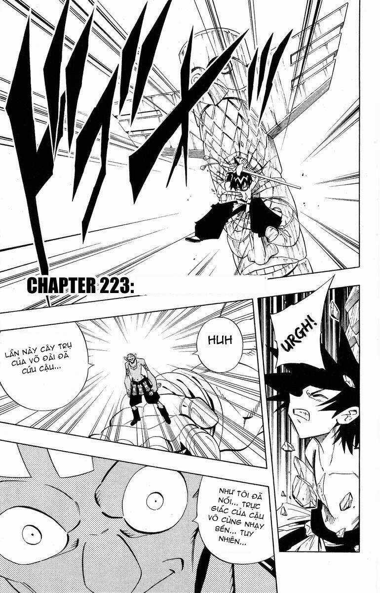 Vua Pháp Thuật Chapter 223 trang 0