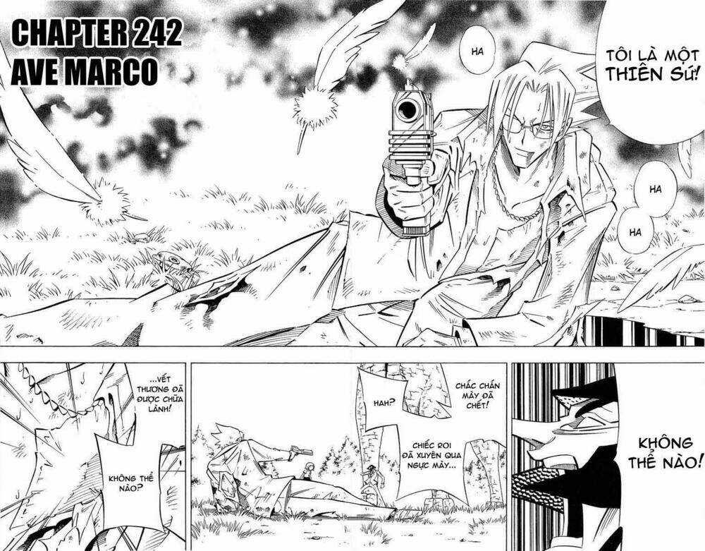 Vua Pháp Thuật Chapter 242 trang 1