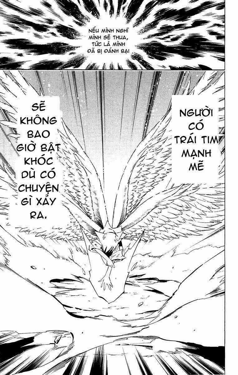 Vua Pháp Thuật Chapter 247 trang 17