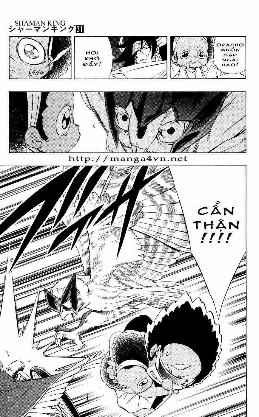 Vua Pháp Thuật Chapter 274 trang 7