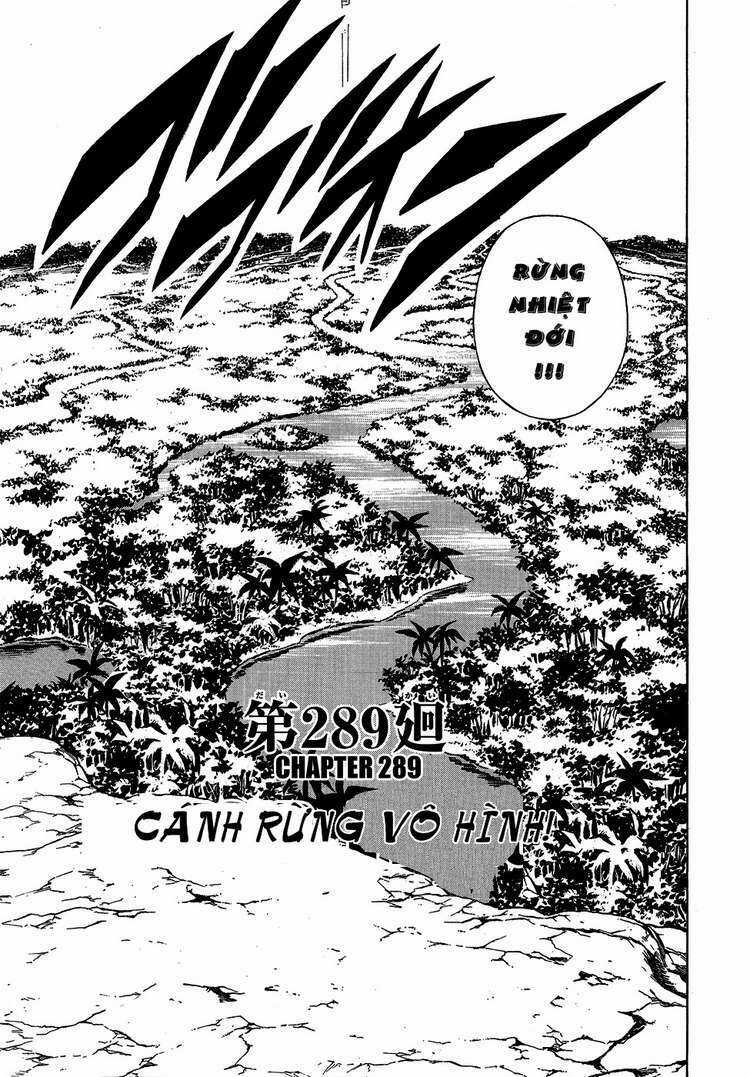 Vua Pháp Thuật Chapter 289 trang 2