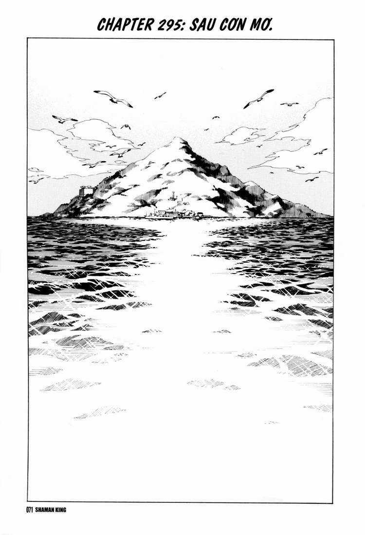 Vua Pháp Thuật Chapter 295 trang 2